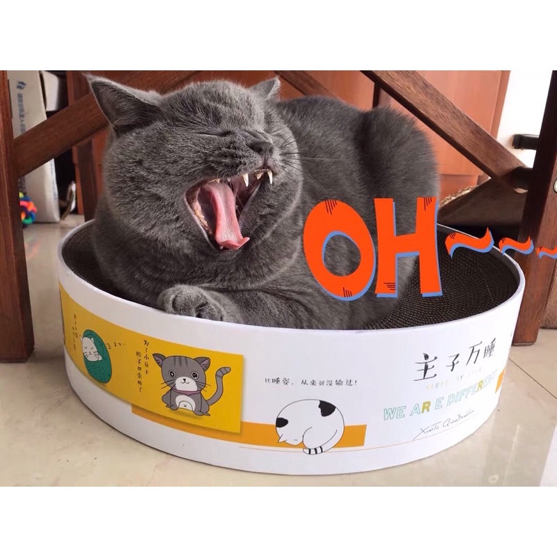 [Rẻ Vô Địch]Cào móng kết hợp ổ nằm cho mèo siêu xinh siêu rẻ