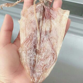 Mực loại 16 con 500gram