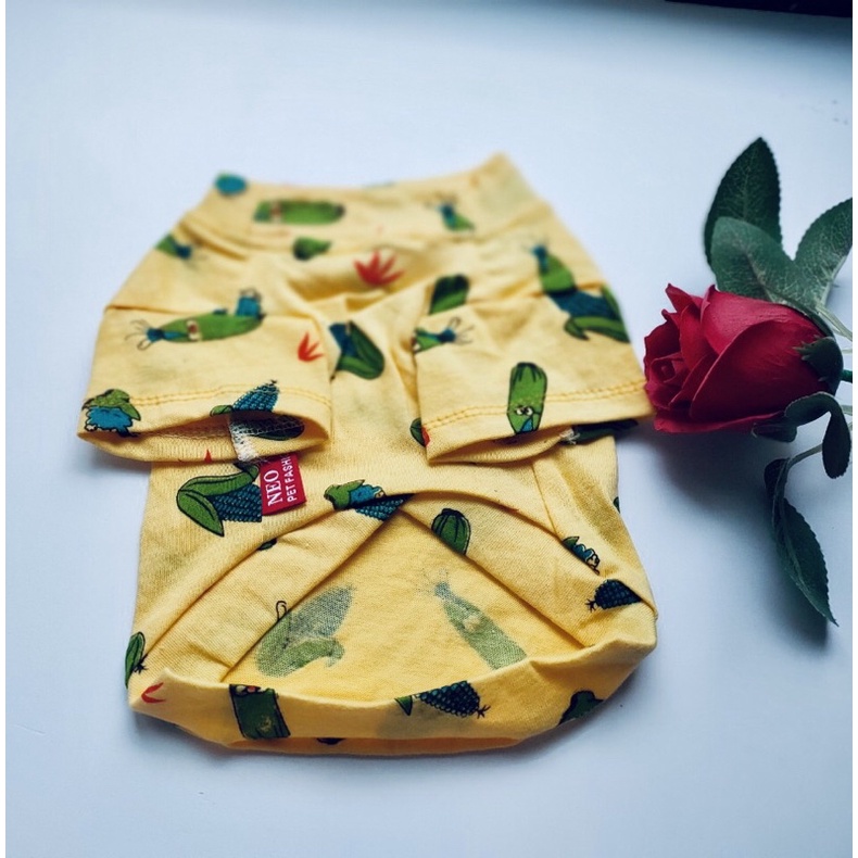 Áo thun vàng hoạ tiết trái bắp dành cho thú cưng, Quần áo chó mèo LaLi Petfashion
