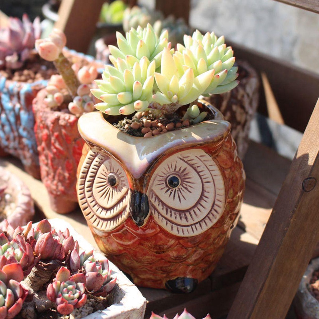 YIYU Chậu Cây Cảnh Bằng Gốm Sứ Dễ Thương Xinh Xắn