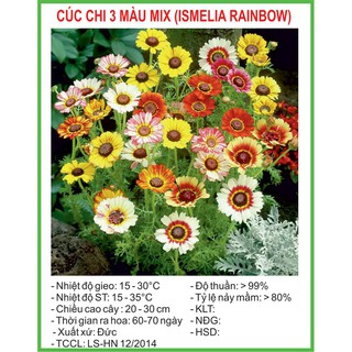 Hạt Giống Cúc chi 3 màu Rainbow Mix 50 Hạt/ Gói