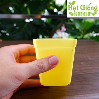 Chậu nhựa mini vuông
