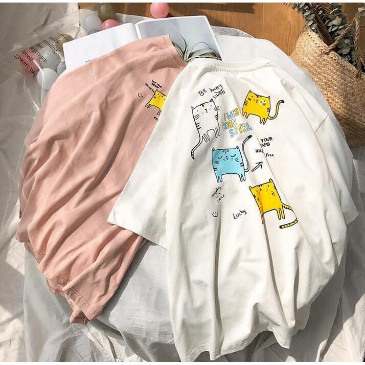 Áo thun unisex hình những chú mèo nghộ nghĩnh | BigBuy360 - bigbuy360.vn