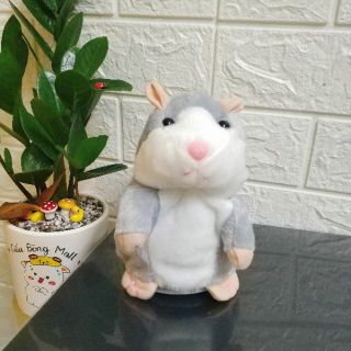 [Siêu rẻ] Chuột Hamster biết nói (Nhại tiếng) [Đồ chơi thông mình cho bé]