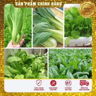 GIẢM 50% COMBO 05 gói hạt giống rau cải VIP