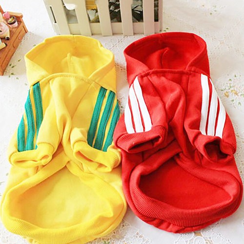 Áo khoác hoodie giữ ấm hợp thời trang cho thú cưng