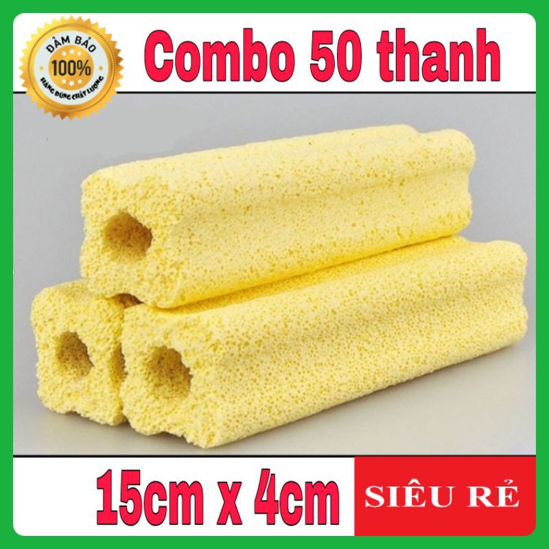 Combo 50 cây sứ thanh vàng lớn 15x4cm, sứ hoa mai vật liệu lọc nước