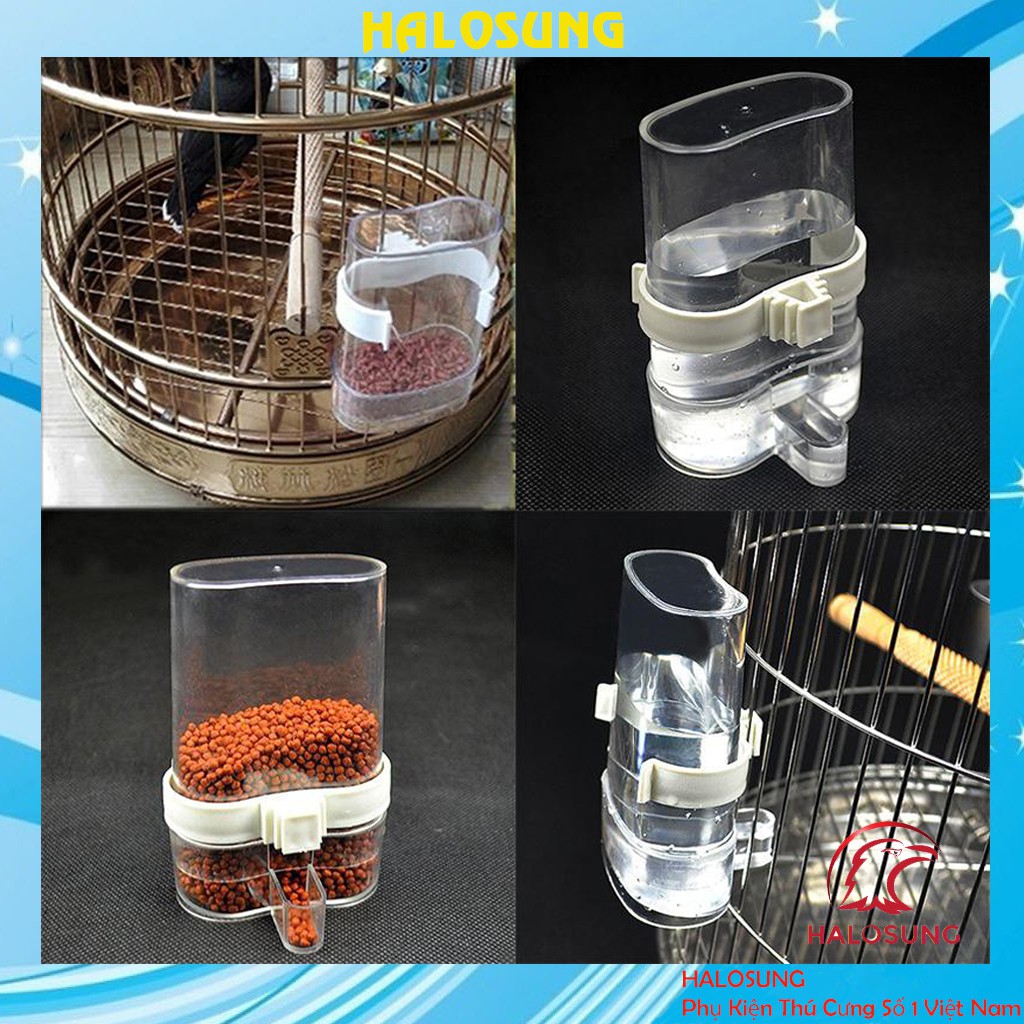 Cóng chim chào mào Halosung cóng chim khuyên Phụ kiện lồng chim PK36