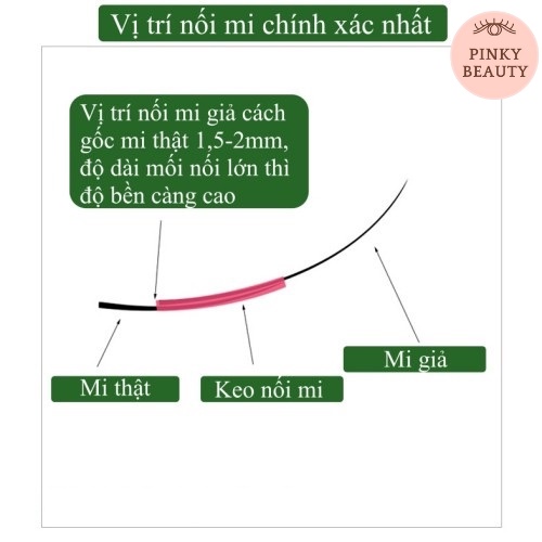 Lông Mi Giả Chùm Katun Phong Cách Hàn Quốc - Mi Giả Tự Nối Dạng Chùm Thời Trang Cá Tính Độ Dài 8-14mm - Pinky Beauty