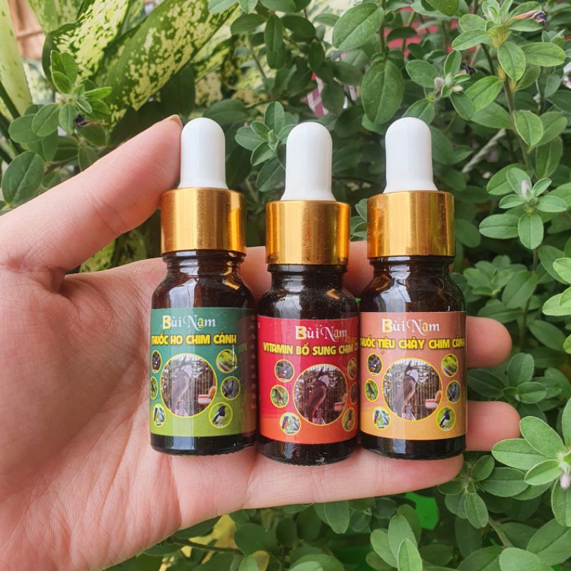 Nước ho, tiêu chảy, vitamin chim cảnh Bùi Nam