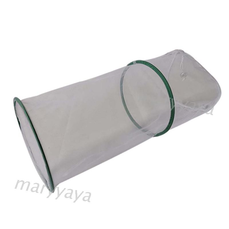 Lồng Lưới Thoáng Khí Đựng Côn Trùng Tiện Lợi