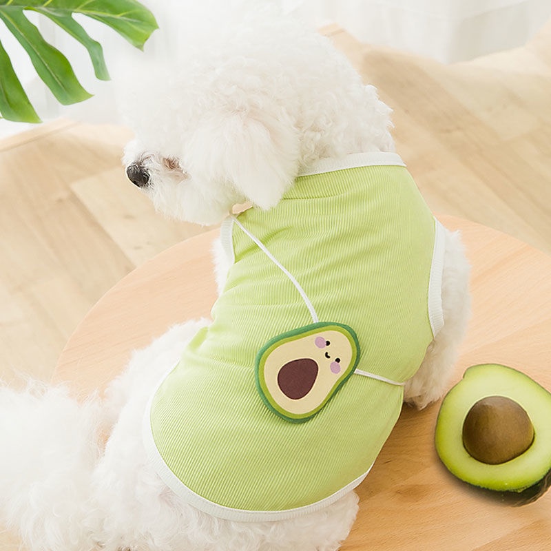 Áo vest bảnh bao quần mỏng mùa xuân và hè cho chó con Teddy Bichon Pomeranian thú cưng nhỏ mèo