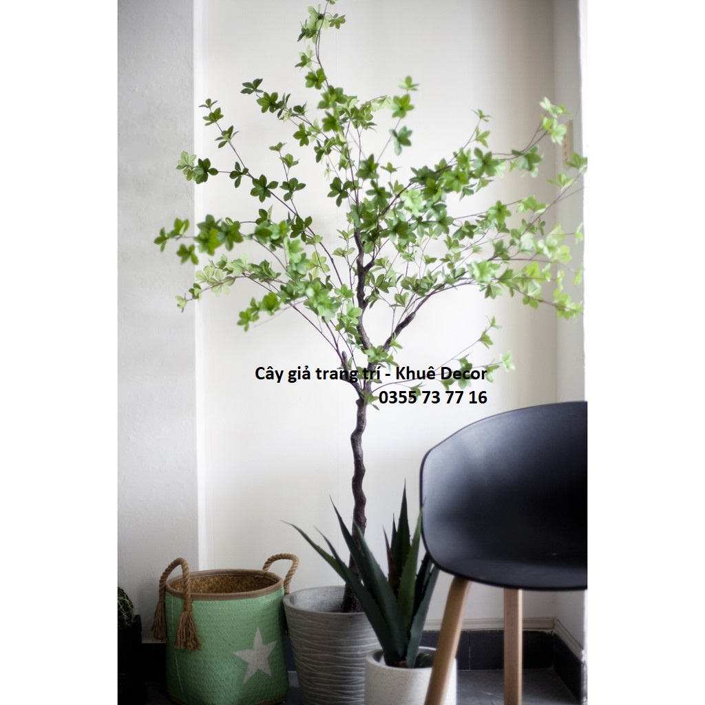 Cây Thạch Nam 1m85 giả