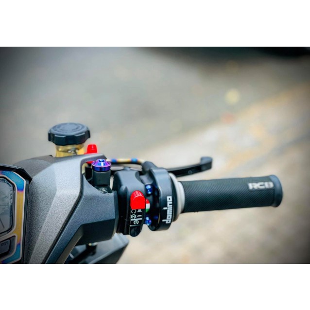 Cùm Công Tắc Trái / Phải Domino Chính Hãng