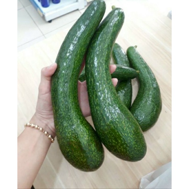 Bơ 034, bơ sáp dẻo vàng, bơ sạch đặc sản Lâm Đồng | BigBuy360 - bigbuy360.vn