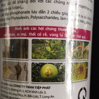 Phân bón rễ GREEN FOS 600