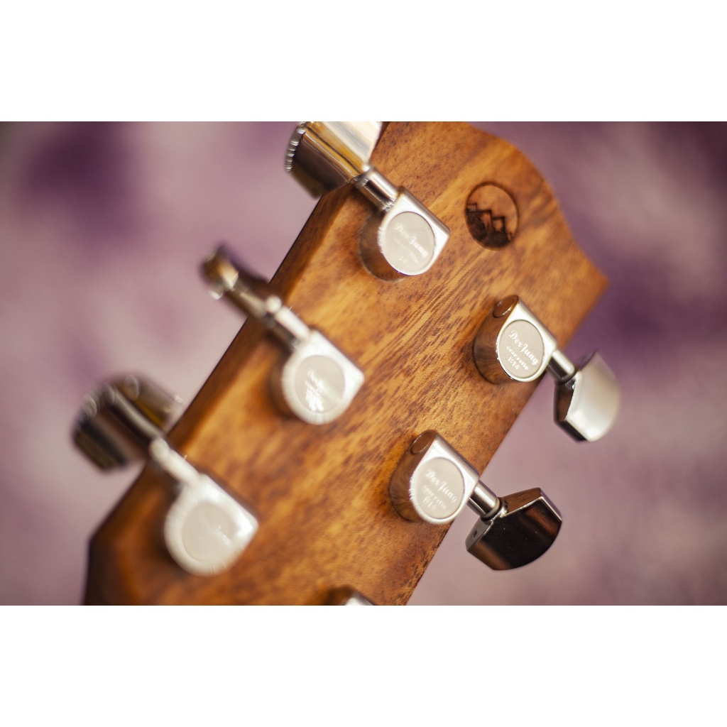 Đàn Guitar Cao Cấp Everest E300AC- Tặng Kèm Đầy Đủ Phụ Kiện Và Dây Đàn Elixir Chính Hãng