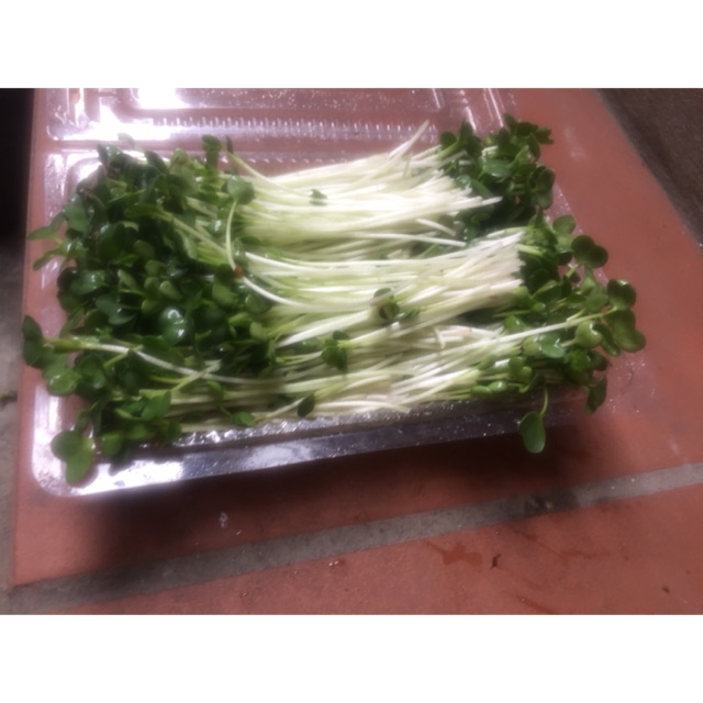 Rau mầm homemade