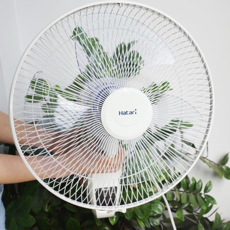 Quạt treo tường Hatari W16R6 - W18R1, có điều khiển
