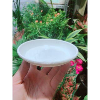 Đĩa Lót Chậu (đường kính 12cm)