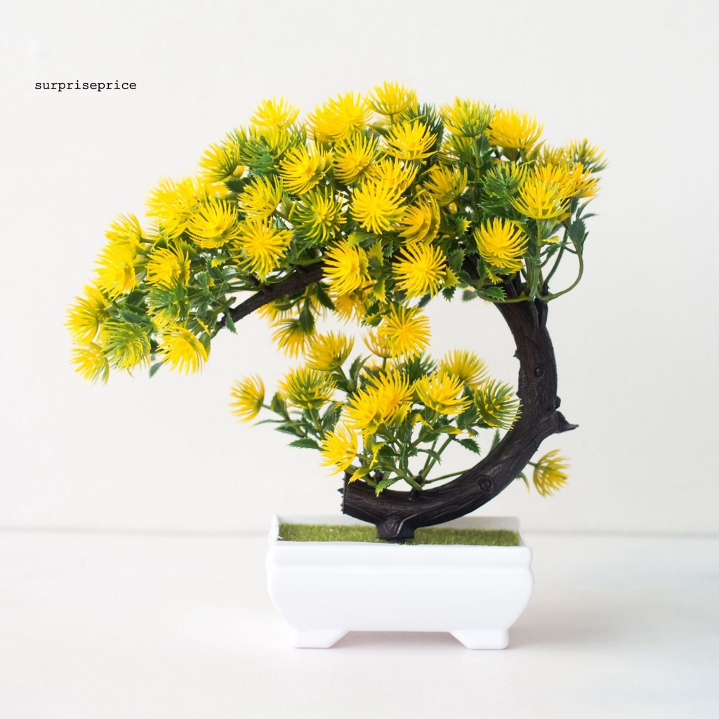 Chậu Cây Bonsai Giả Trang Trí