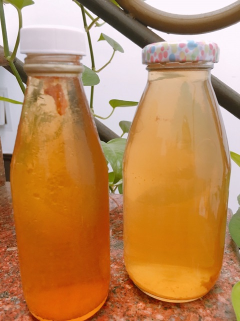 Trà Kombucha từ scoby- 980ml | BigBuy360 - bigbuy360.vn