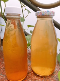 Trà Kombucha từ scoby- 980ml