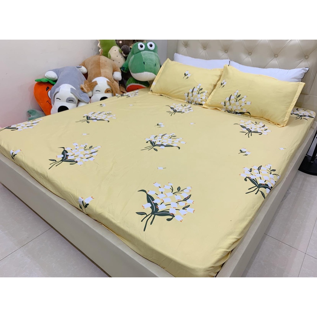 GA LẺ COTTON POLLY