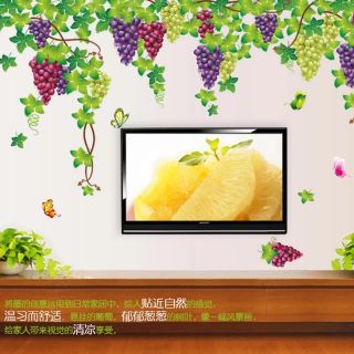 Decal dán tường giàn nho to 2m