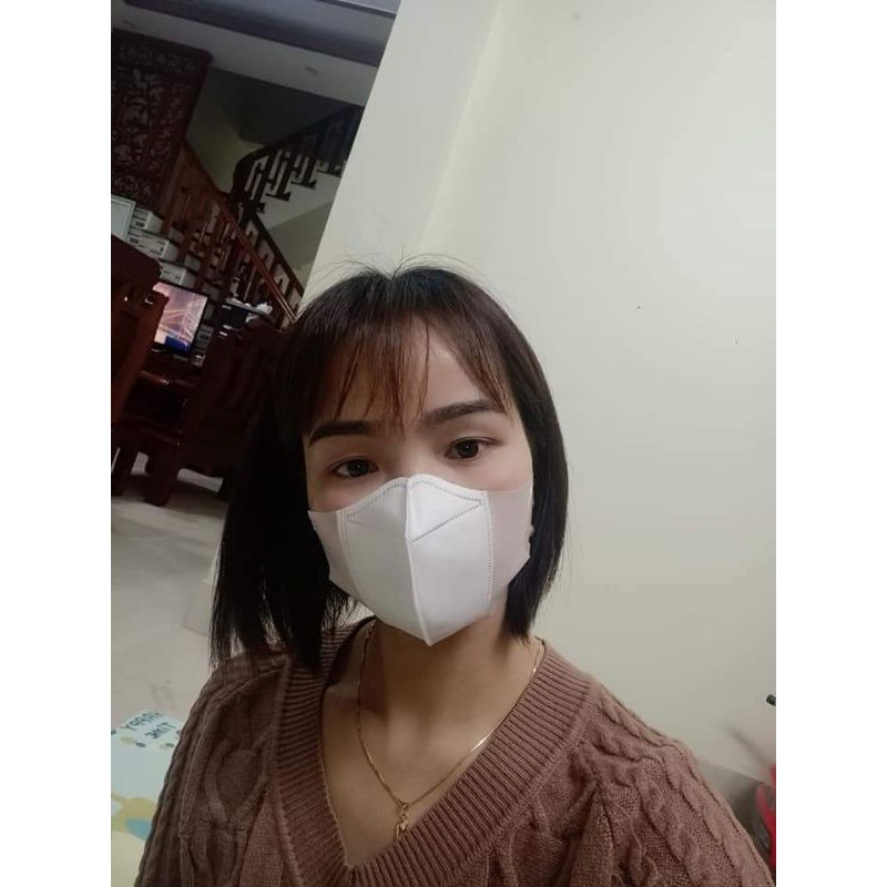 Hộp 10 chiếc khẩu trang 5D mask Nam anh cho người lớn