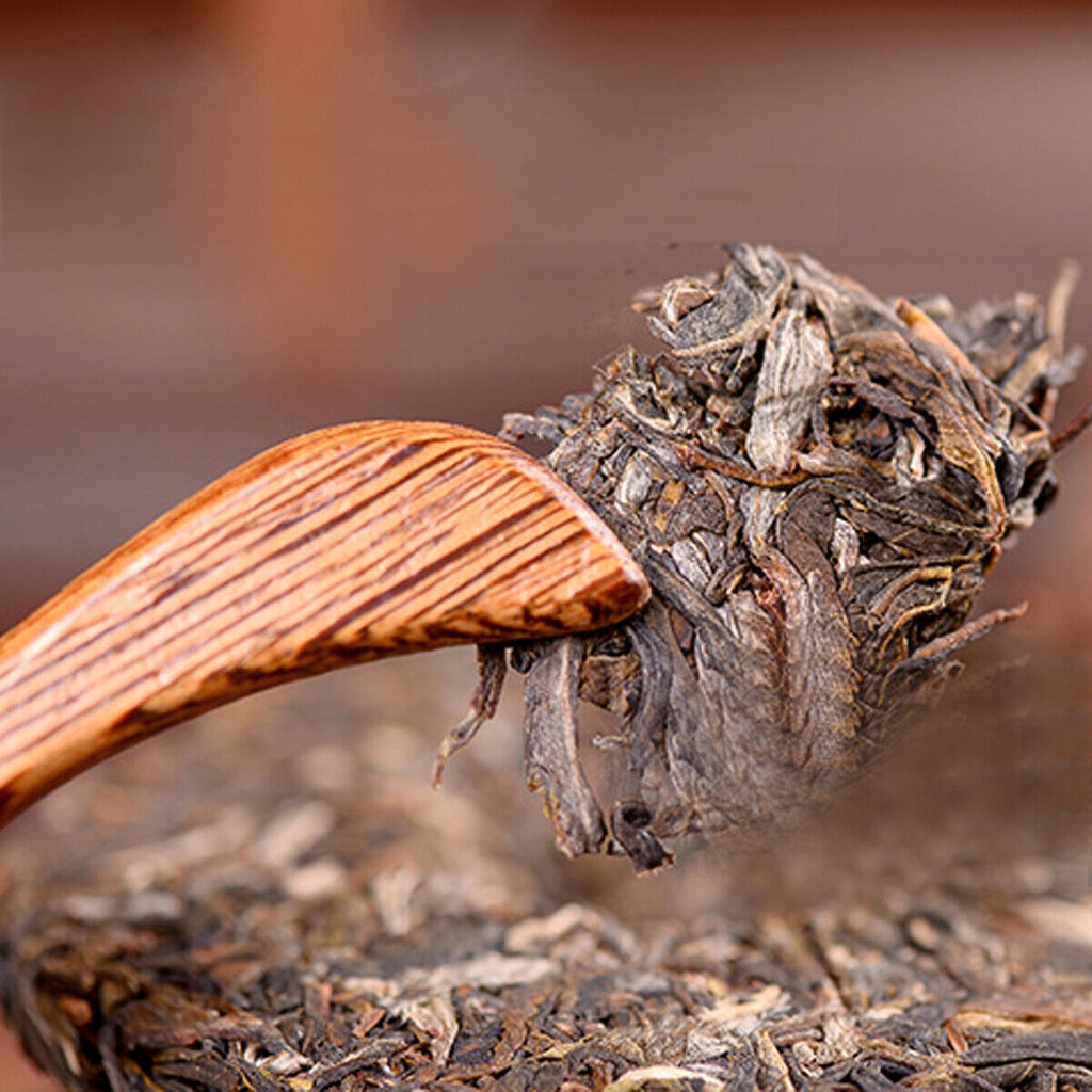 Hàng Có Sẵn Pu-erh Raw Cây Hoang Dã Cổ Đại Yunnan Sheng Puer Trà Bánh Kem 100g 100% Trà Tự Nhiên Nuôi Dưỡng Sức Khỏe Và Chăm Sóc Sức Khỏe Trung Quốc