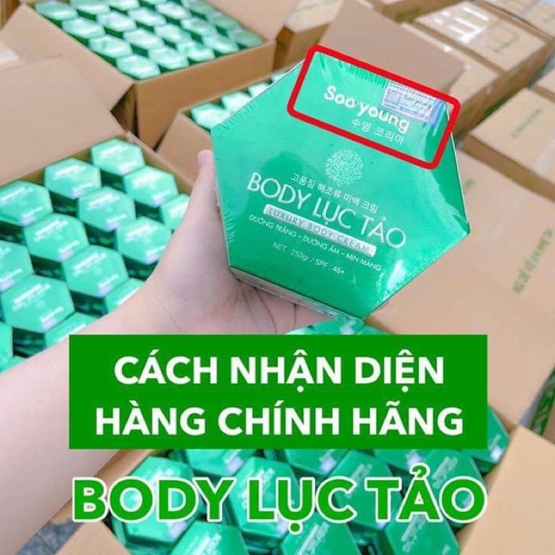 [Chính hãng] Kem Body Lục Tảo Soo Young