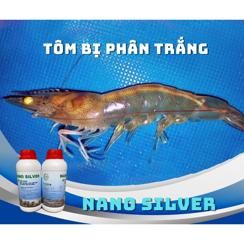 Nano bạc diệt khuẩn ao tôm 500ml - trị phân trắng, ao tôm mùi tanh