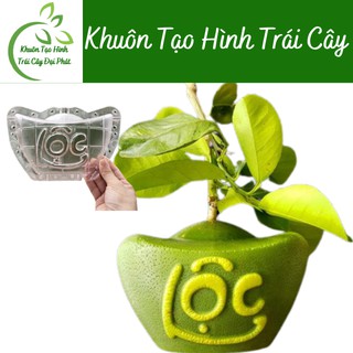 (Bưởi 0,9-1,8kg)10 Khuôn Bưởi Tài Lộc số 1,2,3, Khuôn tạo hình trái cây Bưởi Hình Thỏi Vàng loại đẹp dùng nhiều vụ