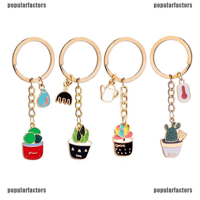 Cây Xương Rồng Tráng Men Sáng Tạo