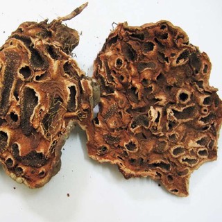 Bí kỳ nam khô (củ kiến)