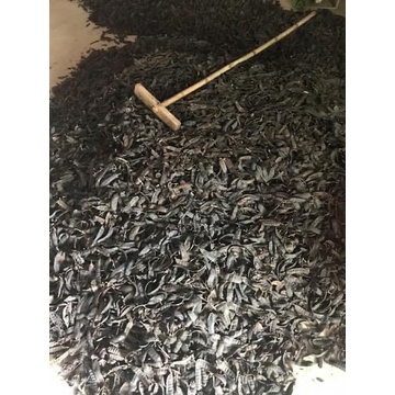 Dầu gội bồ kết thảo mộc Dương Minh 100% thành phần organic giúp tóc giảm rụng chăm sóc tóc phục hồi tóc hư tổn