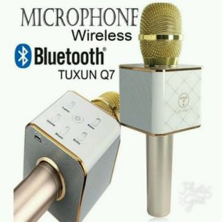 Míc hát karaoke Q7