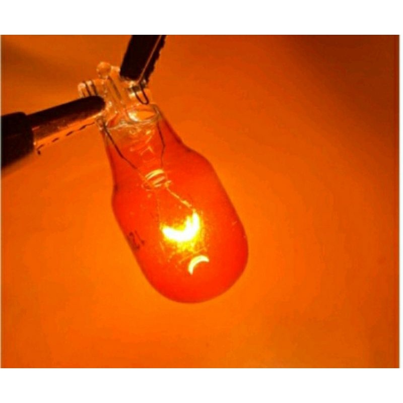 Bóng đèn hậu ô tô - Xi nhan 12V 21W