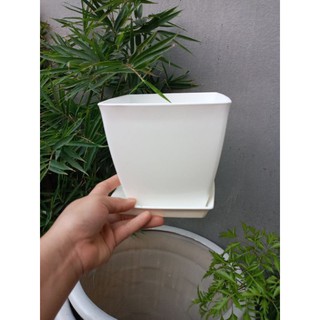 Siêu phẩm trồng hoa kèm đĩa vuông 16cm