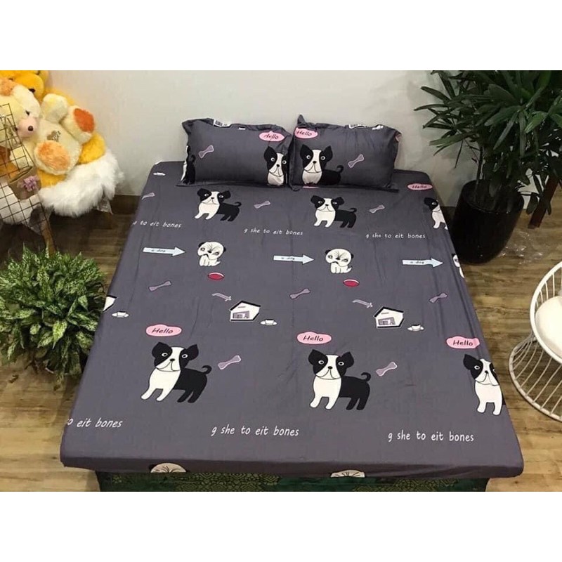 ( giá siêu rẻ) set ga gối Poly cotton 3 món 1 ga bọc nệm ,2 vỏ gối đầu hàng có sẵn