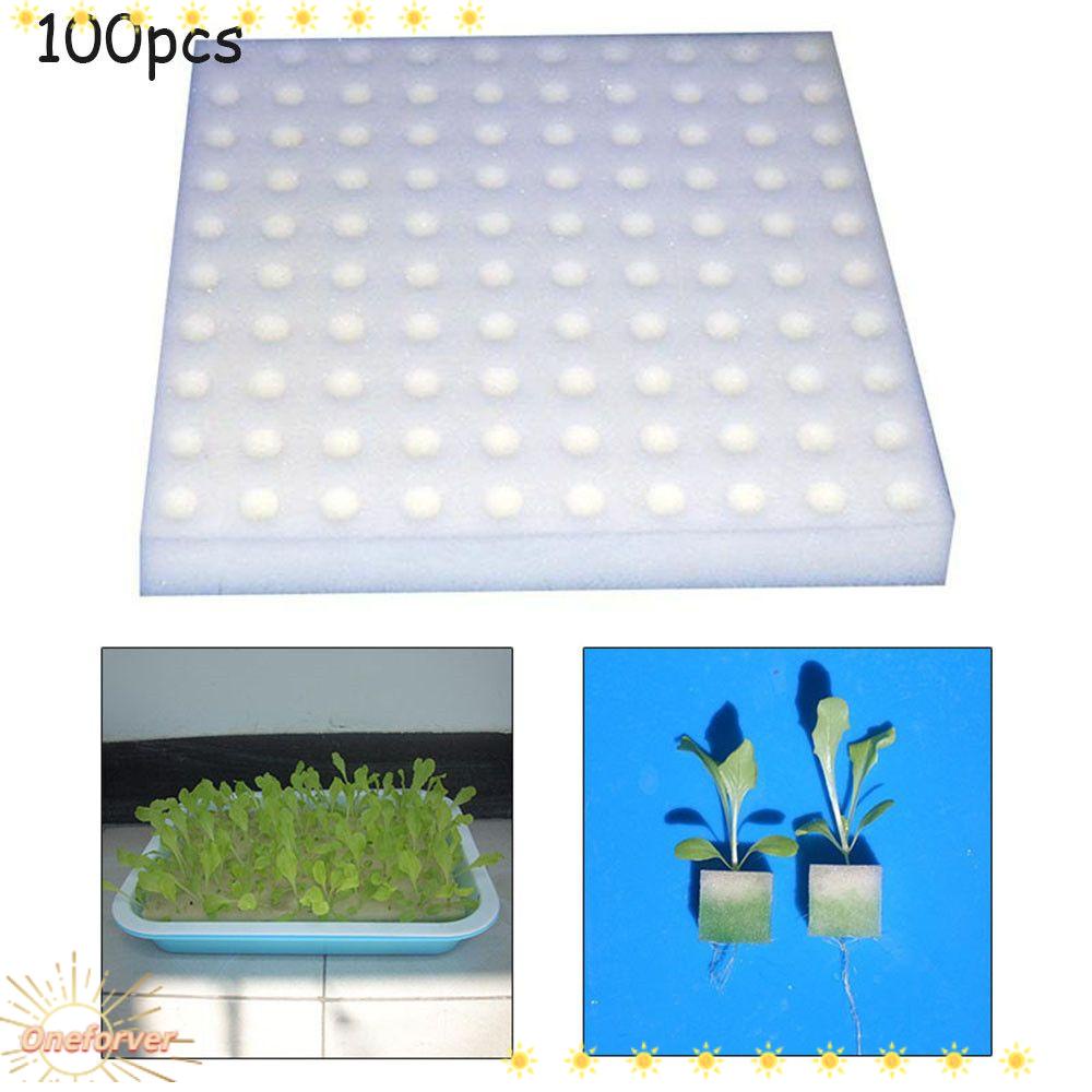 Bọt Biển Thân Thiện Với Môi Trường Không Cần Đất Trồng Cây Thủy Canh