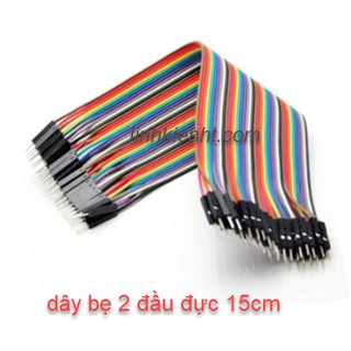 DÂY BUS (40 SỢI) DÂY CẮM TEST BOARD 15CM ĐỰC - ĐỰC