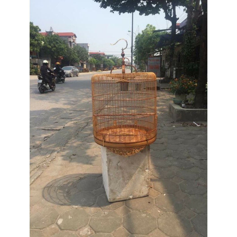 Choè lửa..