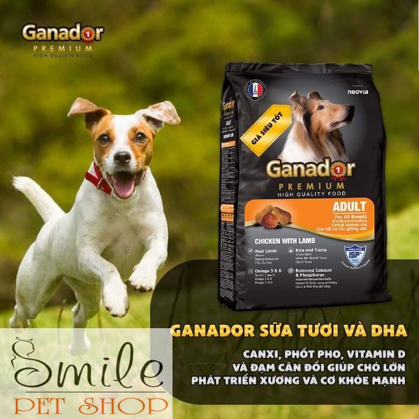 [RẺ NHẤT] Thức ăn hạt khô Ganador cho chó con 400gr - Smile Pet Shop