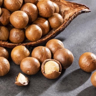 500G Macca sấy nứt vỏ made in VietNam 100% organic size bi
