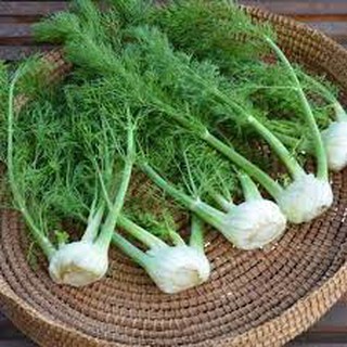 Hạt giống Thì là tây (Củ hồi ) 5 gram
