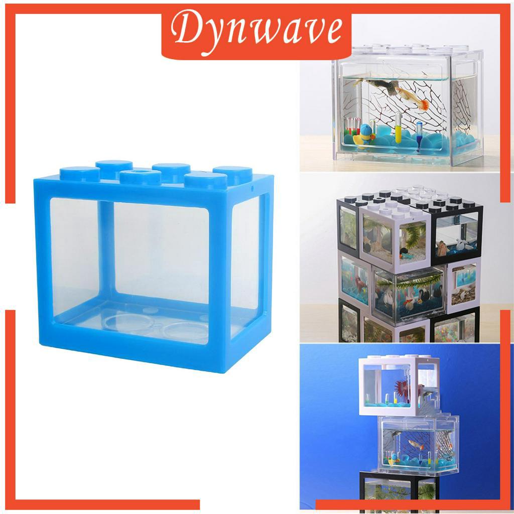 Bể cá mini cho cá Betta tiện dụng