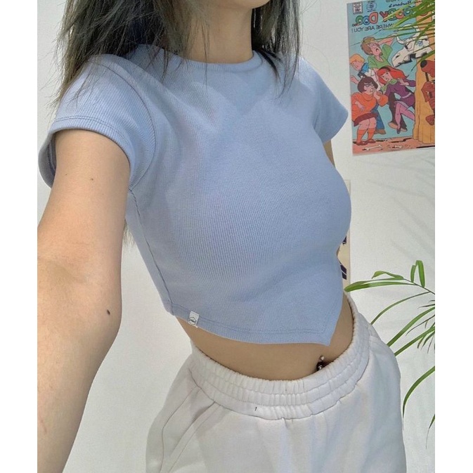 Áo croptop vạt nhọn