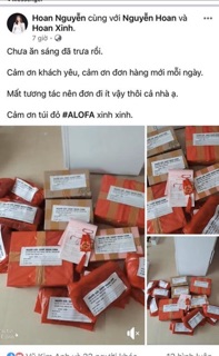 Bột thảo dược phong thuỷ Alofa
